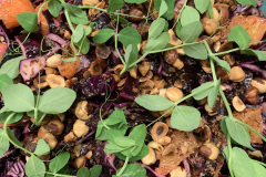 julefrokost-buffet-roedkaal-salat